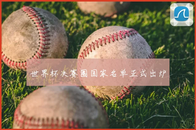 世界杯决赛圈国家名单正式出炉