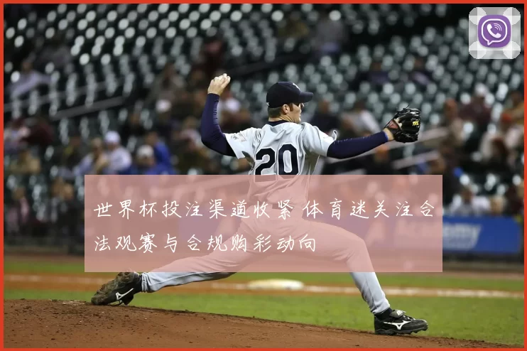 世界杯投注渠道收紧 体育迷关注合法观赛与合规购彩动向