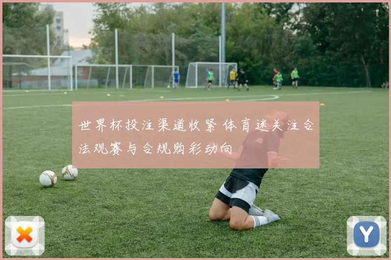 世界杯投注渠道收紧 体育迷关注合法观赛与合规购彩动向